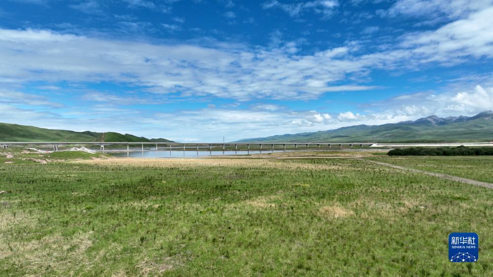 搜狗浏览器
